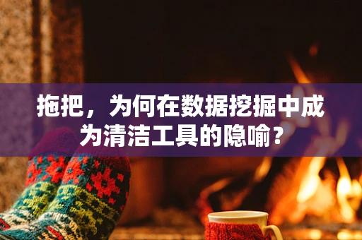 拖把，为何在数据挖掘中成为清洁工具的隐喻？