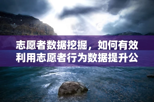 志愿者数据挖掘，如何有效利用志愿者行为数据提升公益效率？