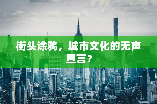 街头涂鸦，城市文化的无声宣言？