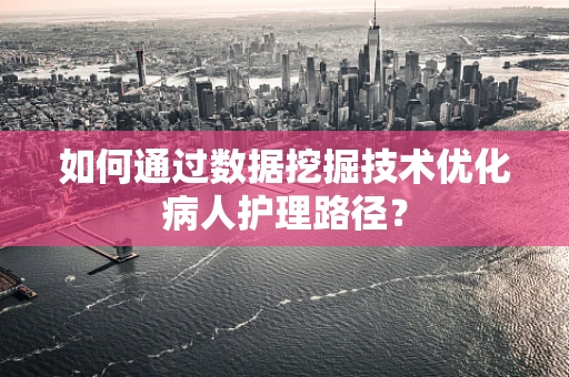 如何通过数据挖掘技术优化病人护理路径？