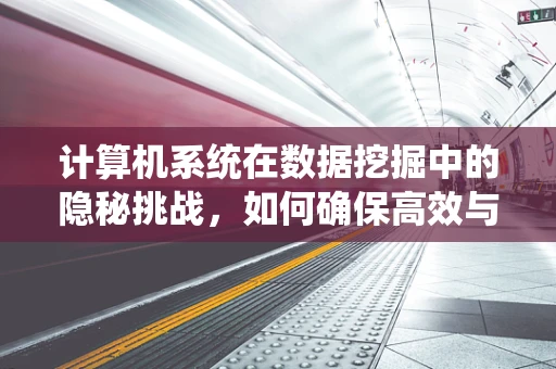 计算机系统在数据挖掘中的隐秘挑战，如何确保高效与安全？