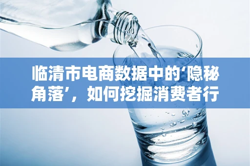 临清市电商数据中的‘隐秘角落’，如何挖掘消费者行为模式？