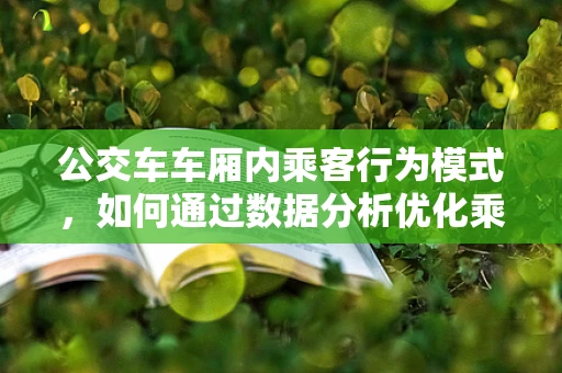 公交车车厢内乘客行为模式，如何通过数据分析优化乘客体验？