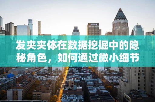 发夹夹体在数据挖掘中的隐秘角色，如何通过微小细节揭示用户偏好？