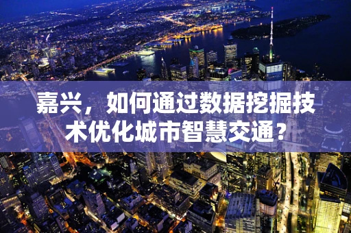 嘉兴，如何通过数据挖掘技术优化城市智慧交通？