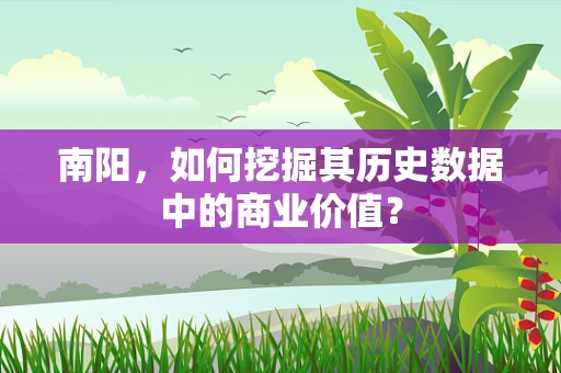 南阳，如何挖掘其历史数据中的商业价值？