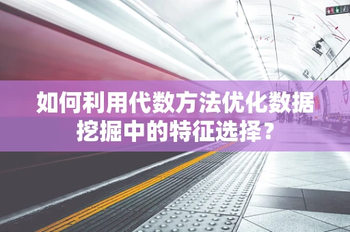 如何利用代数方法优化数据挖掘中的特征选择？