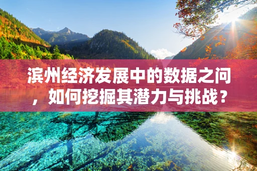 滨州经济发展中的数据之问，如何挖掘其潜力与挑战？