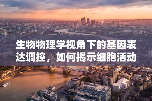 生物物理学视角下的基因表达调控，如何揭示细胞活动的‘隐秘语言’？