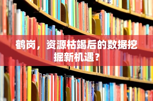 鹤岗，资源枯竭后的数据挖掘新机遇？