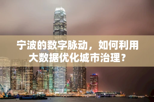 宁波的数字脉动，如何利用大数据优化城市治理？