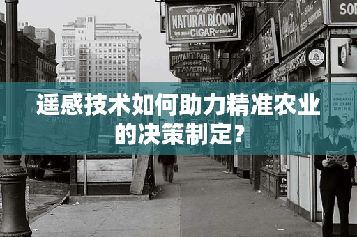 遥感技术如何助力精准农业的决策制定？