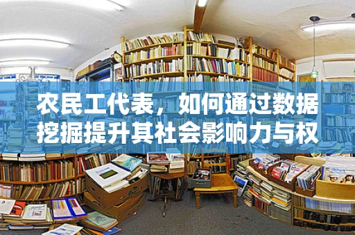 农民工代表，如何通过数据挖掘提升其社会影响力与权益保障？