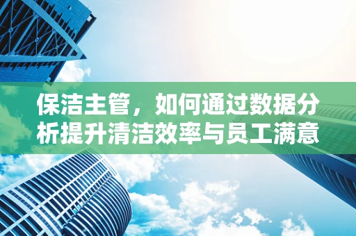 保洁主管，如何通过数据分析提升清洁效率与员工满意度？