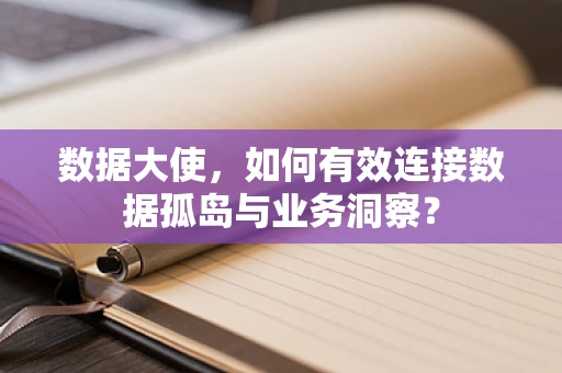 数据大使，如何有效连接数据孤岛与业务洞察？