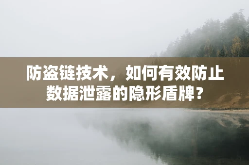 防盗链技术，如何有效防止数据泄露的隐形盾牌？