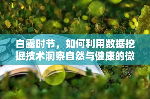 白露时节，如何利用数据挖掘技术洞察自然与健康的微妙联系？