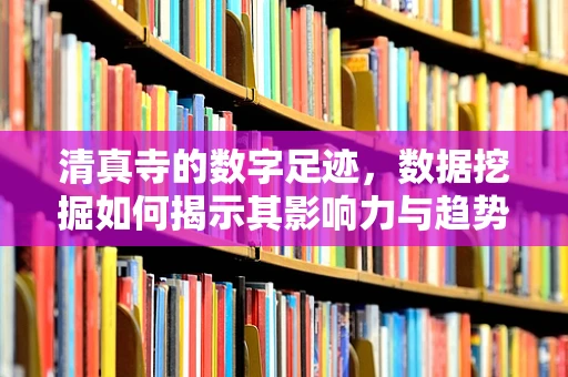 清真寺的数字足迹，数据挖掘如何揭示其影响力与趋势？