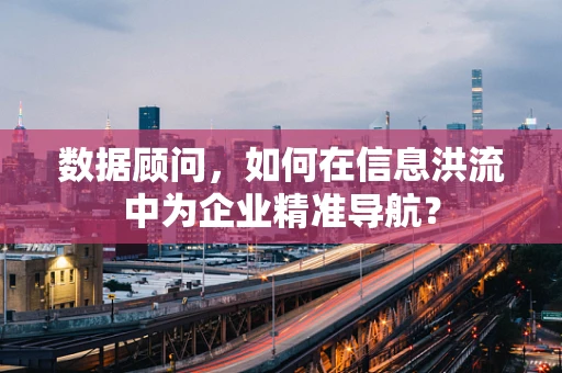 数据顾问，如何在信息洪流中为企业精准导航？