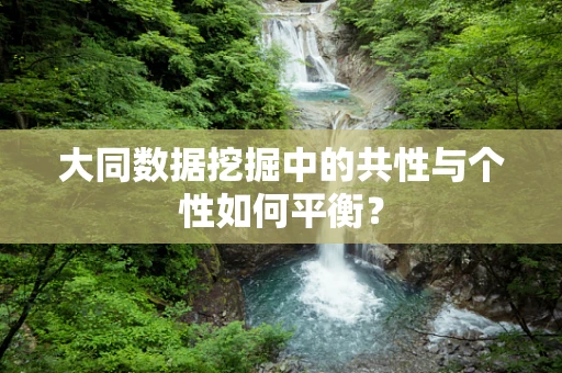 大同数据挖掘中的共性与个性如何平衡？