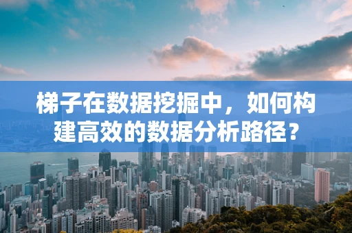 梯子在数据挖掘中，如何构建高效的数据分析路径？