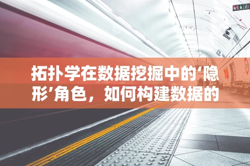 拓扑学在数据挖掘中的‘隐形’角色，如何构建数据的‘形状’认知？