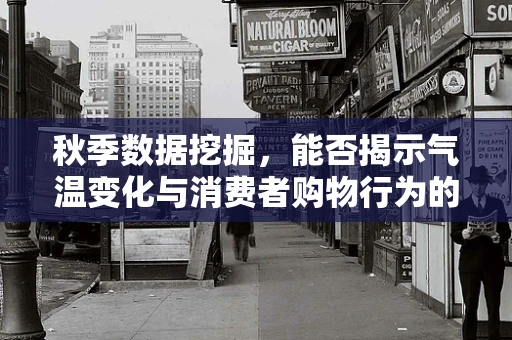 秋季数据挖掘，能否揭示气温变化与消费者购物行为的隐秘联系？