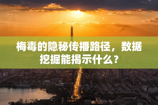 梅毒的隐秘传播路径，数据挖掘能揭示什么？