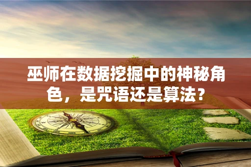 巫师在数据挖掘中的神秘角色，是咒语还是算法？