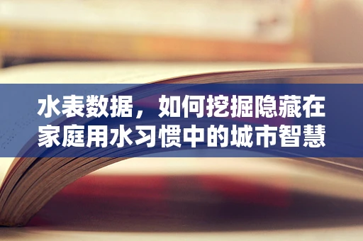 水表数据，如何挖掘隐藏在家庭用水习惯中的城市智慧？