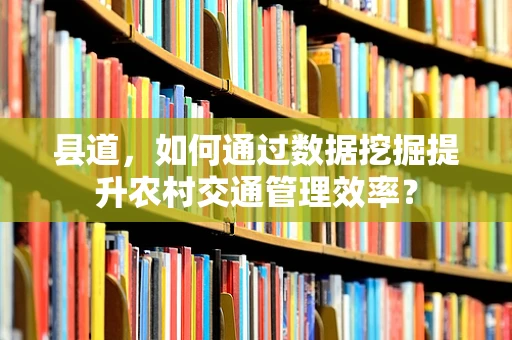 县道，如何通过数据挖掘提升农村交通管理效率？