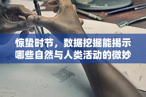 惊蛰时节，数据挖掘能揭示哪些自然与人类活动的微妙联系？