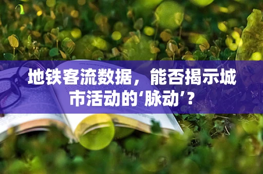 地铁客流数据，能否揭示城市活动的‘脉动’？