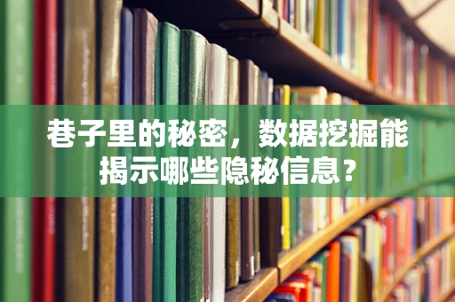 巷子里的秘密，数据挖掘能揭示哪些隐秘信息？