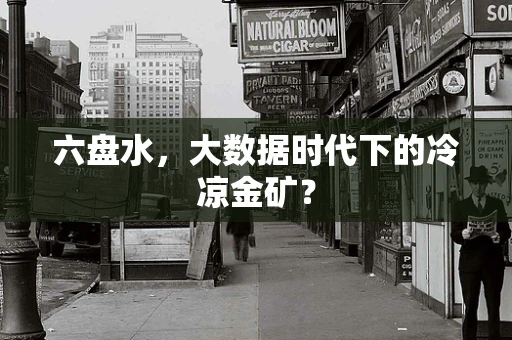 六盘水，大数据时代下的冷凉金矿？