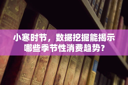 小寒时节，数据挖掘能揭示哪些季节性消费趋势？