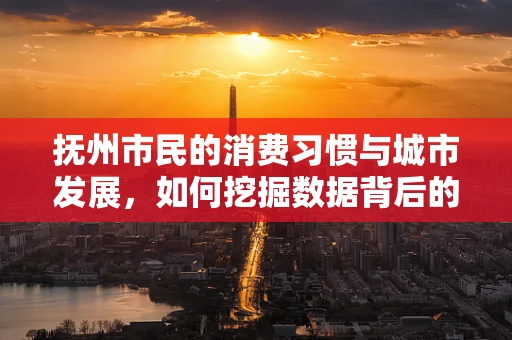 抚州市民的消费习惯与城市发展，如何挖掘数据背后的商机？