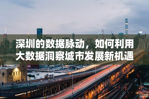 深圳的数据脉动，如何利用大数据洞察城市发展新机遇？