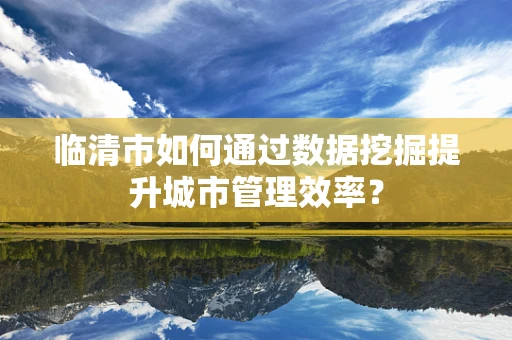 临清市如何通过数据挖掘提升城市管理效率？