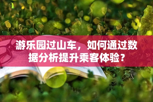 游乐园过山车，如何通过数据分析提升乘客体验？