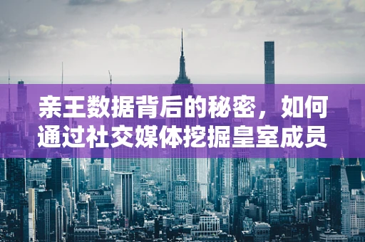 亲王数据背后的秘密，如何通过社交媒体挖掘皇室成员的公众形象与影响力？