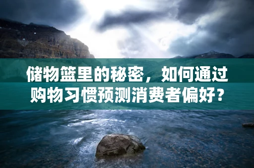 储物篮里的秘密，如何通过购物习惯预测消费者偏好？