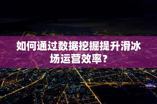 如何通过数据挖掘提升滑冰场运营效率？