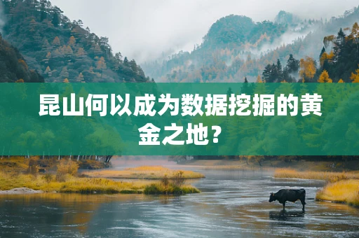 昆山何以成为数据挖掘的黄金之地？