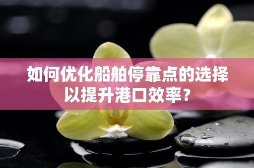 如何优化船舶停靠点的选择以提升港口效率？