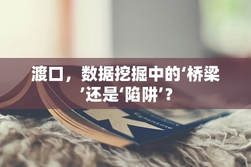 渡口，数据挖掘中的‘桥梁’还是‘陷阱’？