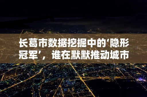 长葛市数据挖掘中的‘隐形冠军’，谁在默默推动城市发展？