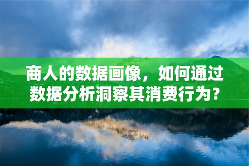 商人的数据画像，如何通过数据分析洞察其消费行为？