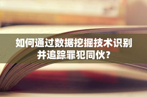 如何通过数据挖掘技术识别并追踪罪犯同伙？