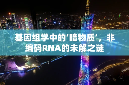 基因组学中的‘暗物质’，非编码RNA的未解之谜